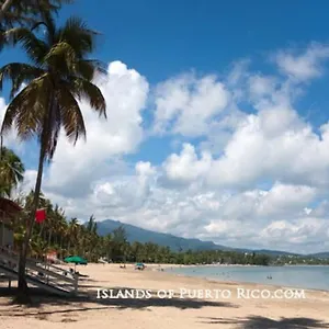 villa-orquidea-1.comcaribbean.com/